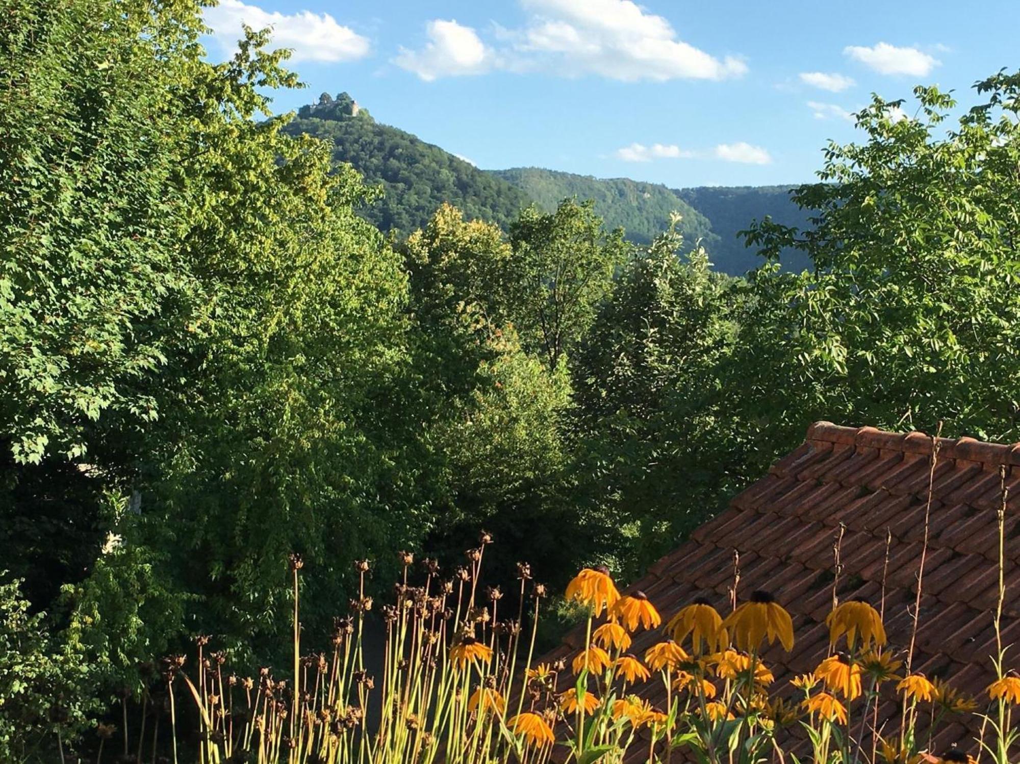 Appartement Haus Am Sonnenhuegel à Bad Urach Extérieur photo